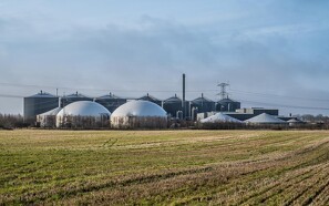 Nyt selskab klar til at forhandle biomasse til biogasanlæg