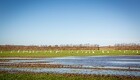 Landbrugsstyrelsen udskyder ansøgningsrunde for vådområder og lavbundsprojekter
