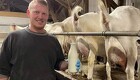 Tobias mangler mejeri til gedemælk: Skal finde aftager inden søndag