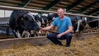 Landboforening efterlyser nuancer i debat om oksekøds klimabelastning