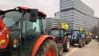 Traktor-demonstration med  æggekast og dækafbrænding i Bruxelles