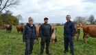 Klar til crowdfunding: Løsdriftsstald til økologisk mælkeproduktion på Lyø er første projekt