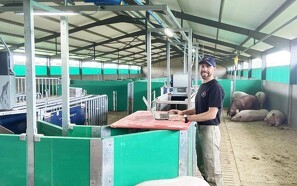 Sydafrikansk svineproduktion har fokus på effektivitet og teknologi