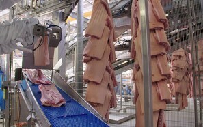 Trecifret millioninvestering i robotter skal fjerne tunge løft på slagterier