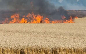 August har budt på flere markbrande end normalt