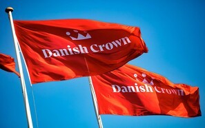 Danish Crown varsler fald i betalingen for grise