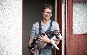 L&F: Ønsker Danske Svineproducenter tyske tilstande?
