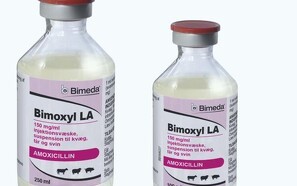 Nyt antibiotikum til svin, kvæg og får i Danmark