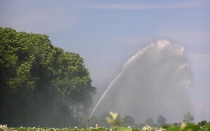 Tørke: Økologer vil have frigivet mere vand