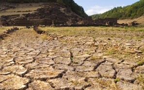 Tørken tvinger spanske landbrug til at sænke vandforbruget med 80 procent