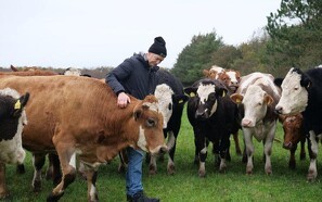 Økologisk mælkeproducent får Landbrugets Samfundspris