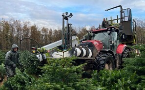 Mudder, regn og hårdt arbejde: Maskinstation har travlt med juletræerne
