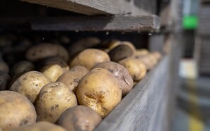 Danske Kartofler: Vi skærer Reglone ind til det højst nødvendige