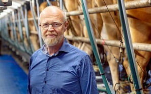 Mejeriforeningen: Høj ensartet afgift er ikke den eneste vej frem