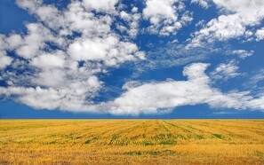 Ukrainsk EU-medlemskab vil medføre store reformer af landbrugsstøtten