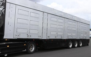 Fødevarestyrelsen opjusterer indsats mod svinepest: Vil rengøre 300 lastbiler ved grænsen