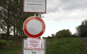 Det vrimler med vildsvin ved den tysk-polske grænse