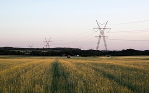 Djursland Landboforening vil hjælpe landmænd med ESG-rapporter