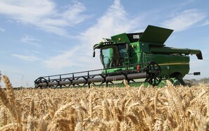 Kornpriser stiger til højeste niveau nogensinde
