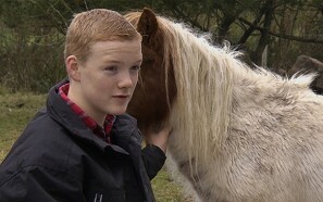 Land TV: Mikkel på 14 vil være landmand