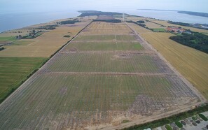 80 hektar landbrugsjord bruges til solceller
