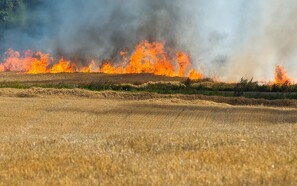 Landmand nær Aarhus mistede 20 hektar i markbrand