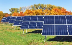 Landmænd kræver solcellearealer af kommunerne