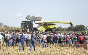 Traditionelle Claas-farver i USA