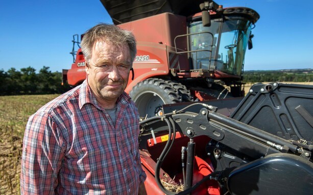 Fjordland: Landmændene bør holdes skadesfri efter fund af PFAS i græs
