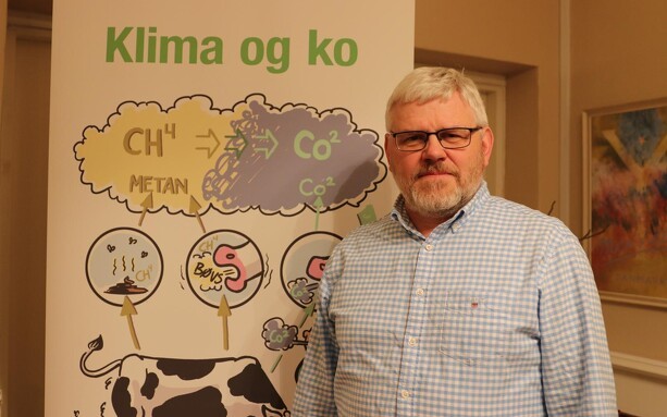 LDM: Køernes metanbøvser er ikke et klimaproblem