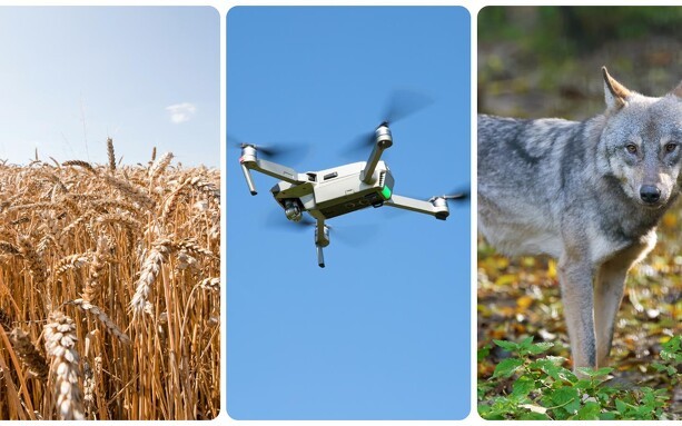 Utrolige nyheder: Drone-høst, trefarvet smør og ulveskilte