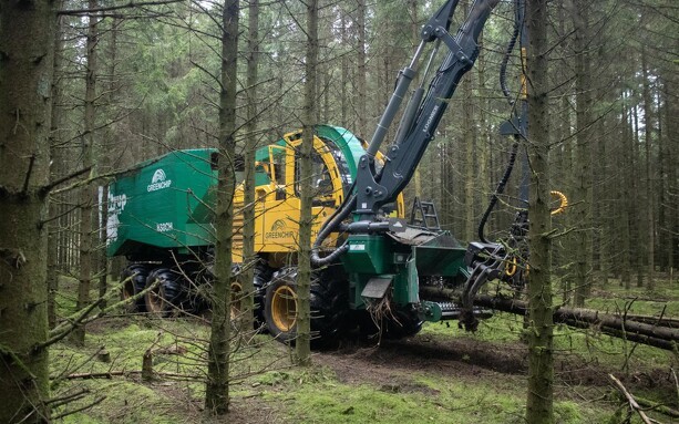 Grøn skattereform vil sætte turbo på produktionsskov
