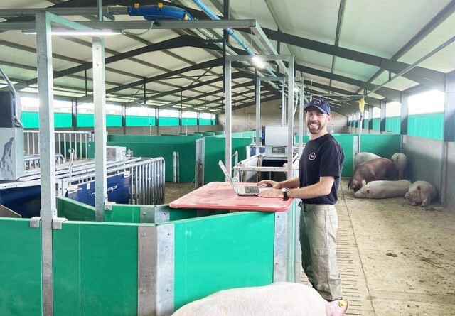 Sydafrikansk svineproduktion har fokus på effektivitet og teknologi
