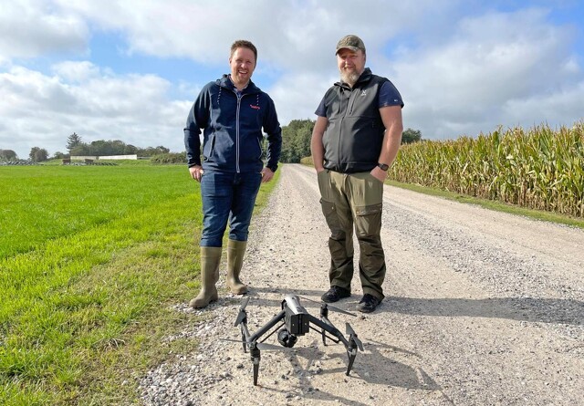 Drone hjælper i jagten på hanespore