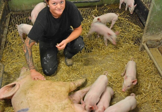 Ung svineproducent investerer i nybyggeri