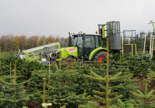 Tree Tech giver længere levetid til juletræet