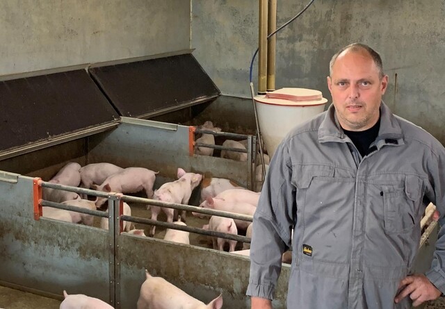Fødevarestyrelsen bekræfter brug af ikke tilladt grise-spray under kontrol