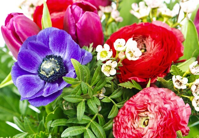 Miljøstyrelsen undersøger omfanget af pesticider i importerede blomster