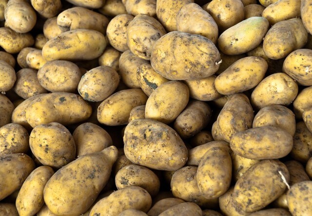 Kartofler stjålet fra 12-årigs vejbod
