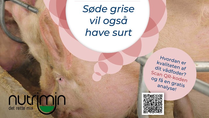 Kopi af Søde grise vil også have surt (1).png