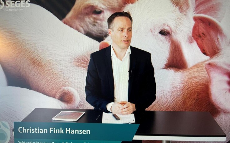 Positive og negative tendenser i dansk svineproduktion
