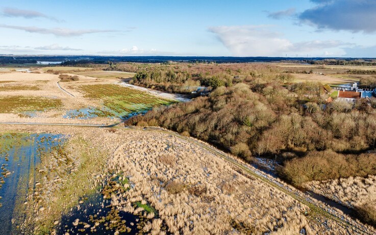 88 hektar lavbund omdannes til vådområde ved Nørre Vosborg