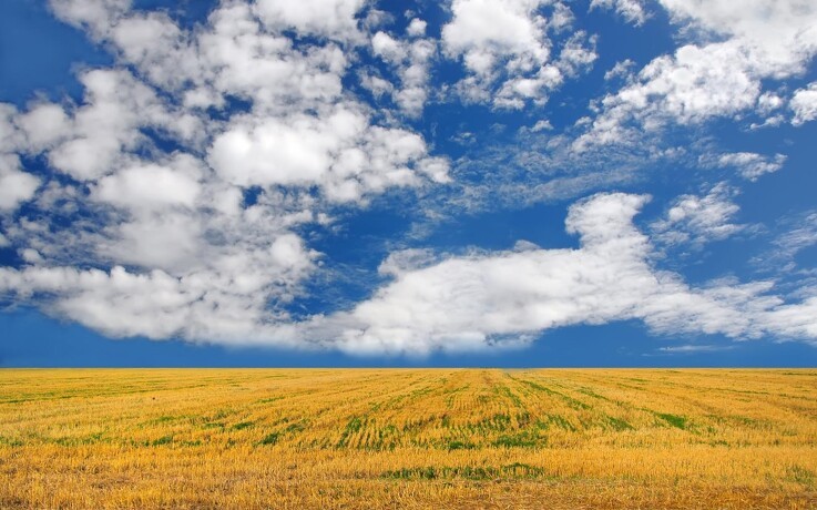 Ukrainsk EU-medlemskab vil medføre store reformer af landbrugsstøtten