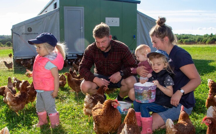 Lonna og Valdemar ville udleve landmandsdrømmen: Nu er de klar til at sælge økologiske æg
