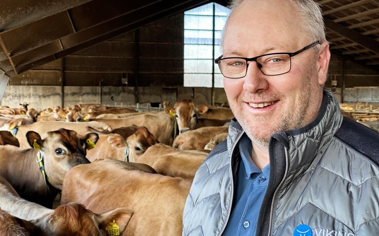 VikingDanmark på vej mod ejerskab i en europæisk kvægavlsforening