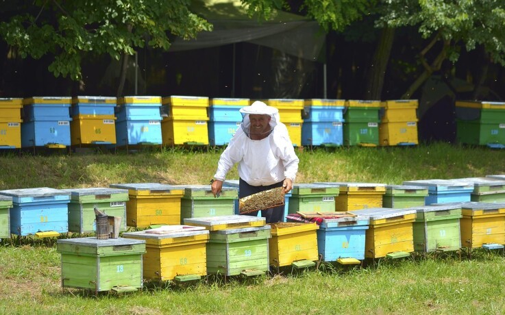 Oplev bierne på tæt hold