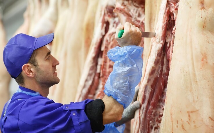 Nye regler for udenlandsk arbejdskraft på slagterier i Tyskland