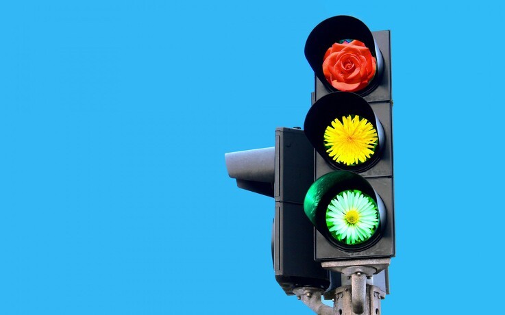 Tvivl om trafiklys i markkontol
