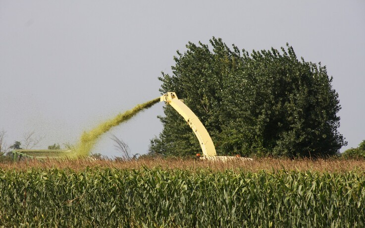 Informa opjusterer amerikanske majs- og sojaudbytter
