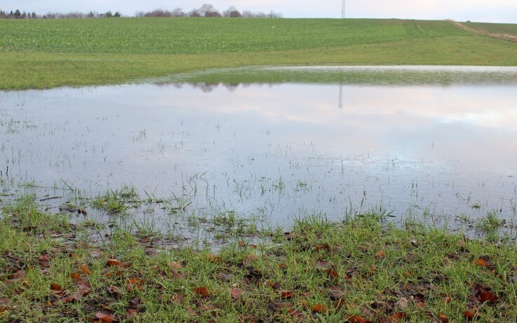 Landbruget advarer mod særregler for vandløb i Aalborg Kommune